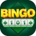 Bingo Patti Game