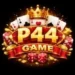 P44 Game